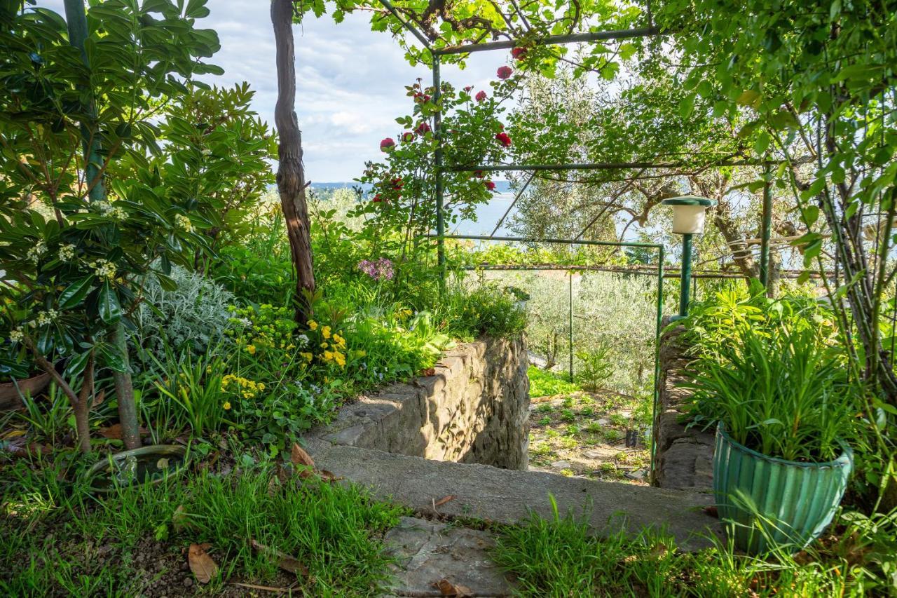 Apartment Cernetic ポルトローシュ エクステリア 写真